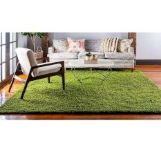 Soft Green Shaggy Hall Rug